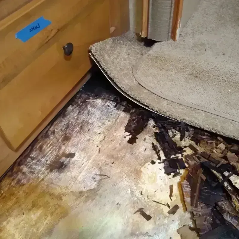 Wood Floor Water Damage in Spencer, WI